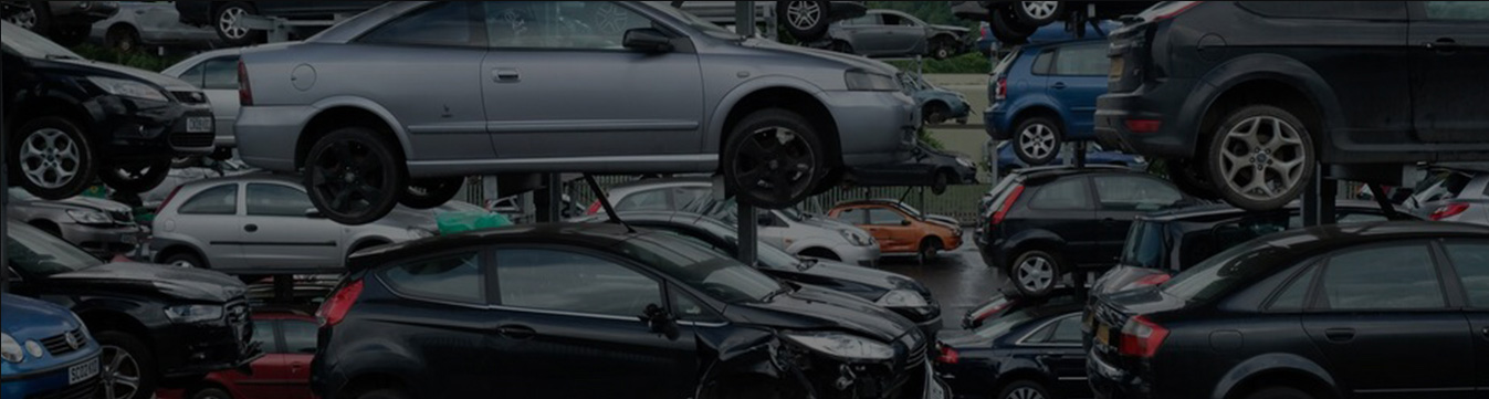Car dismantlers Auckland